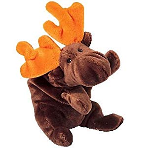 Ty Beanie Buddy Moose Named Chocolate 3rd Generation MINT Plush Toy 2000 for sale online 