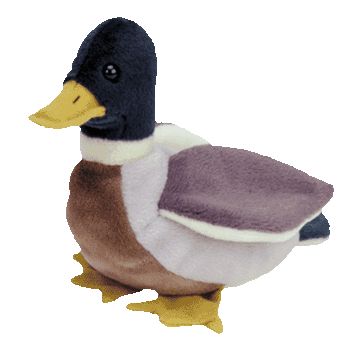 - JAKE the Mallard Duck SILVER TY Beanie Babies BBOC Card Series 2 Birthday 