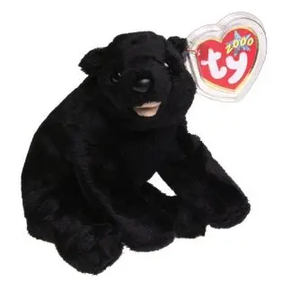 Ty Beanie Baby Cinders The Bear 6th Generation Hang Tag 2000 for sale online 