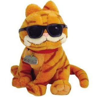 Ty Beanie Baby Cool Cat Garfield 13th Generation Hang Tag 2004 for sale online 